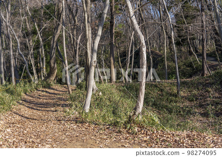 從滝山城跡千疊敷[國家史蹟/都立滝山公園]東京都八王子市 98274095