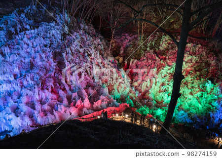 蘆久保冰柱點亮秩父三大冰柱 98274159