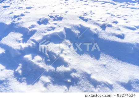 雪面 98274524