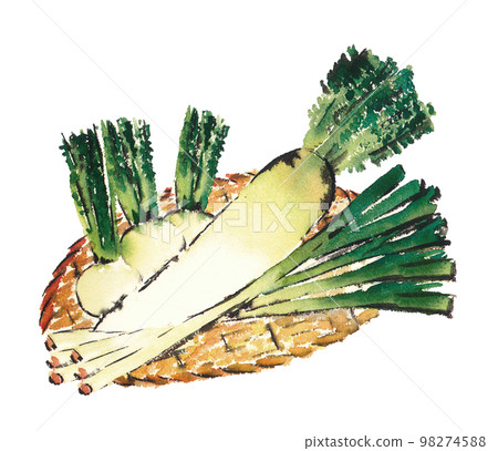 Illustration of a set of root vegetables in a colander [hand-painted watercolor] White background Transparent background 98274588