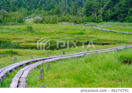 [長野縣]夏季志賀高原‗Shijuhachiike Wetlands_07 98274791