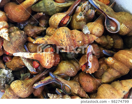 Image of Hiroshima specialty Yonakigai (Naganishi) 98274799