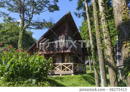 Taken at Yaeyama Park Camp Village in Kagoshima Prefecture. 98275413