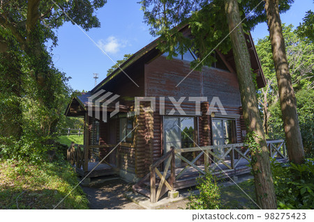 Taken at Yaeyama Park Camp Village in Kagoshima Prefecture. 98275423