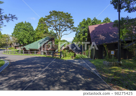 Taken at Yaeyama Park Camp Village in Kagoshima Prefecture. 98275425