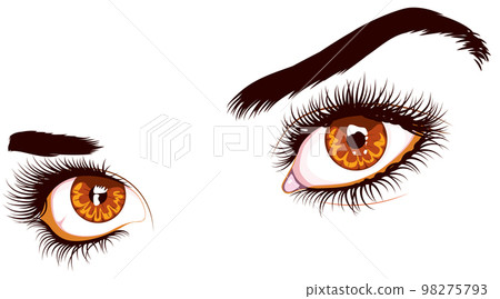 Brown eyes with long eyelashes Brown eyes with long eyelashes 98275793