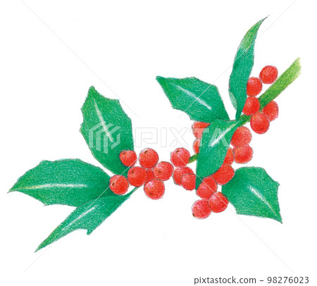 粉彩畫：十二月的果實 98276023