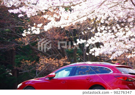 Drive image Sakura 98276347