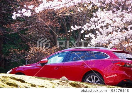 Drive image Sakura 98276348