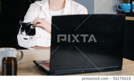 Veterinary Telemedicine Services, Online veterinarian services for virtual pet care. Young woman with cat and using laptop for video call meeting and telemedicine with veterinary from home Veterinary Telemedicine Services, Online veterinarian services for virtual pet care. Young woman with cat and using laptop for video call meeting and telemedicine with veterinary from home 98276628