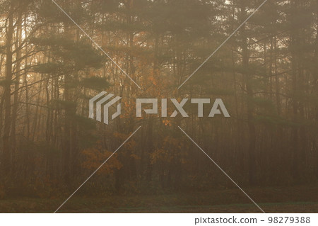 Kitakami City, Iwate Prefecture Late autumn scenery Kitakami City, Iwate Prefecture Late autumn scenery 98279388