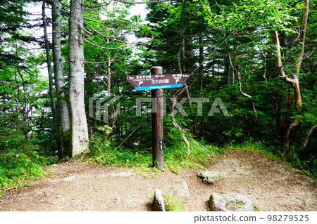 Central Alps Mt. Kutsuki Yonazawa no kashira 98279525