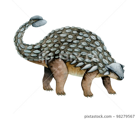 Hand drawn brown gray watercolor Ankylosaurus dinosaur illustration. Prehistoric herbivorous animal from Cretaceous Hand drawn brown gray watercolor Ankylosaurus dinosaur illustration. Prehistoric herbivorous animal from Cretaceous 98279567