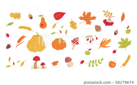 Autumn forest leaves and plants set of icons flat vector illustration isolated. Autumn forest leaves and plants set of icons flat vector illustration isolated. 98279674
