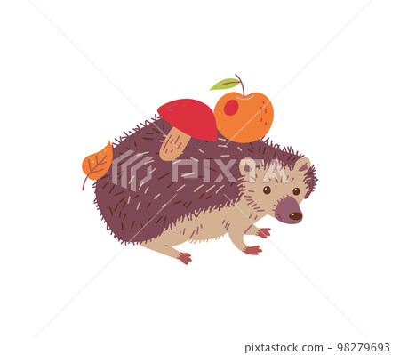 Spiny hedgehog carrying apple, mushroom and leaf on back - flat vector illustration isolated on white background. 98279693
