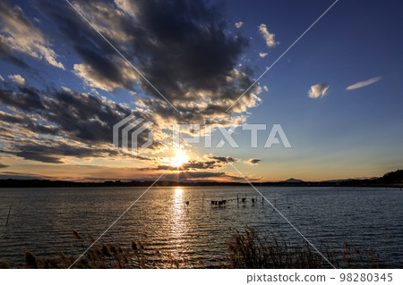 日沼夕陽 [茨城縣茨城町小矢澤花側] 98280345