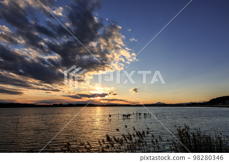 日沼夕陽 [茨城縣茨城町小矢澤花側] 98280346