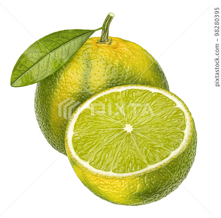 Lime isolated on white background 98280395