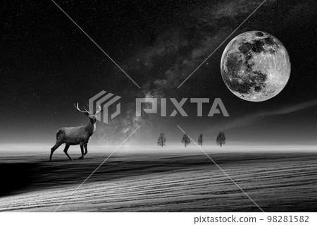 Deer in the snow on a winter field against the background of stars and a big moon Deer in the snow on a winter field against the background of stars and a big moon 98281582