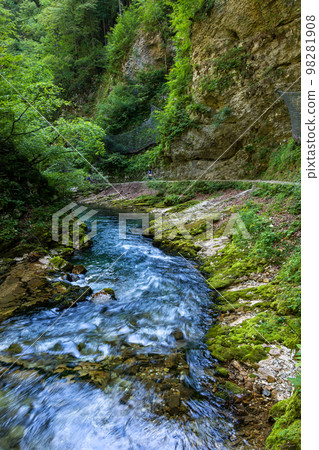 Radovna River In Vintgar Gorge 98281908