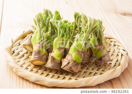 Cod sprout gathering strainer 98282261