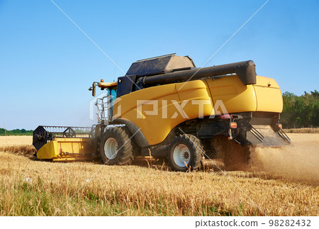 Combine harvester harvesting golden wheat field, harvester working in an agricultural field, harvest season 98282432