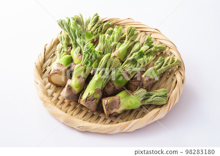 鱈魚芽收集過濾器 鱈魚芽收集過濾器 98283180