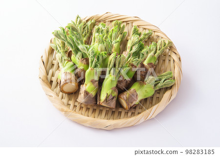 Cod sprout gathering strainer Cod sprout gathering strainer 98283185