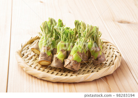 鱈魚芽收集過濾器 98283194