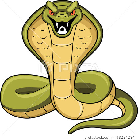 Cobra snake cartoon mascot character Cobra snake cartoon mascot character 98284284