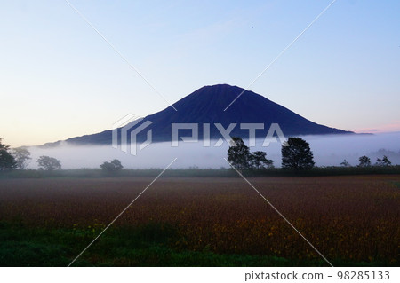 北海道朝霧和羊蹄山 北海道朝霧和羊蹄山 98285133