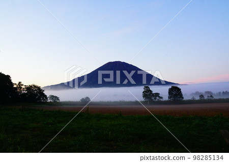 北海道朝霧和羊蹄山 北海道朝霧和羊蹄山 98285134
