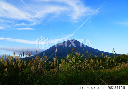 從北海道真狩溫泉看到的羊蹄山 98285136