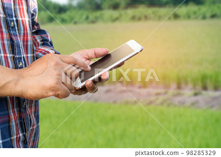 Farmer use digital mobile phone to collect, report and analyze data in rice agriculture farm, Smart farming concept. Farmer use digital mobile phone to collect, report and analyze data in rice agriculture farm, Smart farming concept. 98285329