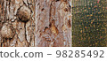 Set of natural wooden textures. 98285492