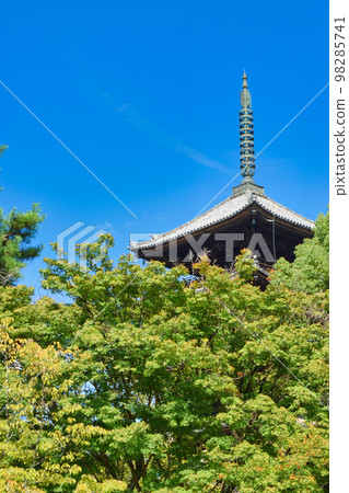 京都仁和寺五層寶塔 京都仁和寺五層寶塔 98285741