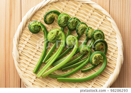 Rubbish collection strainer 98286293