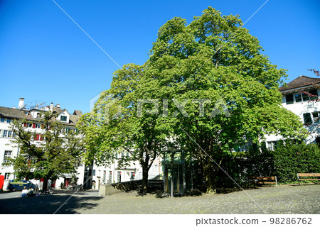 瑞士蘇黎世美麗的風景 98286762