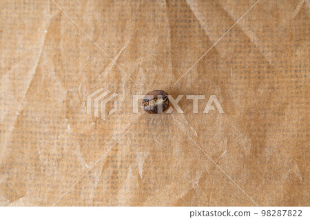 一顆咖啡豆盧旺達 Shori 一顆咖啡豆盧旺達 Shori 98287822