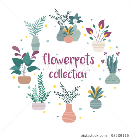 House plants in pots. Hand drawn vector illustration. 98289116