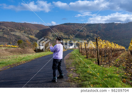 A woman on a road going through a wine district n the Mosel valley. Beautiful yellow vine leaves and green grass 98289704