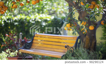 公園椅, 橘子, 橘子樹, 果園,公園の椅子、オレンジ、オレンジの木、果樹園、tangerine 公園椅, 橘子, 橘子樹, 果園,公園の椅子、オレンジ、オレンジの木、果樹園、tangerine 98290124