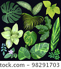 Set of botanical exotic elements. 98291703