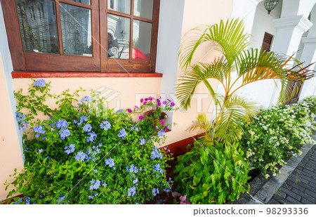 Street garden 98293336