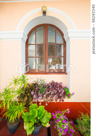 Street garden Street garden 98293340