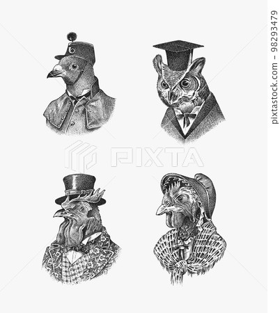 Bird character in a hat and suit. Dove Owl Rooster Chicken Peregrine falcon. The man in a suit 98293479