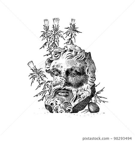 Line vintage head sculpture with flowers. Greek statue. Hand drawn bird. Engraved old monochrome Line vintage head sculpture with flowers. Greek statue. Hand drawn bird. Engraved old monochrome 98293494