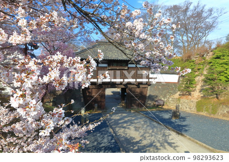 [Nagano Prefecture] Sannomon Gate and cherry blossoms in full bloom at Komoro Castle Ruins in sunny weather 98293623