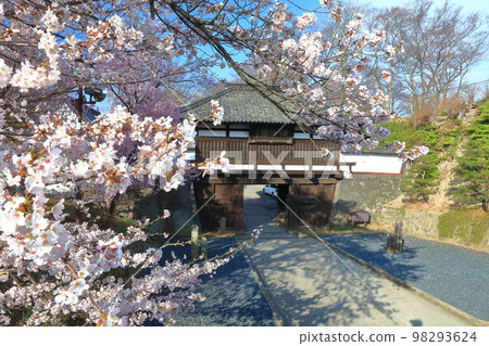 [Nagano Prefecture] Sannomon Gate and cherry blossoms in full bloom at Komoro Castle Ruins in sunny weather 98293624