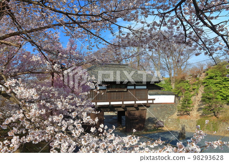 [Nagano Prefecture] Sannomon Gate and cherry blossoms in full bloom at Komoro Castle Ruins in sunny weather 98293628